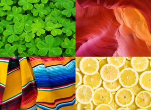 Collage of four images in bright colors
